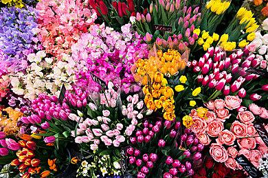 前Xbox高管承认自己曾经鼓励公司展开主机大战