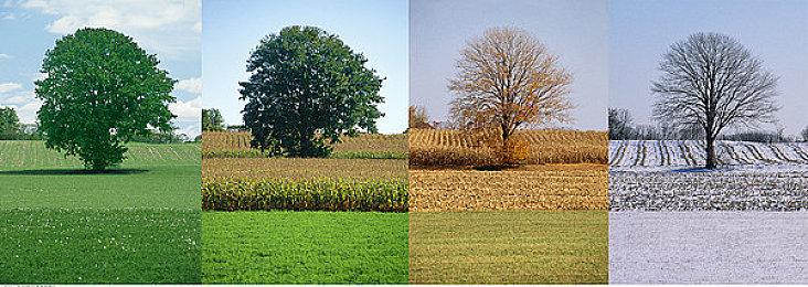 R星：我们明白 《GTA6》必须超过玩家的预期